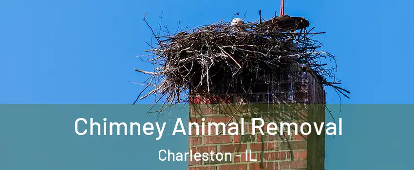  Chimney Animal Removal Charleston - IL