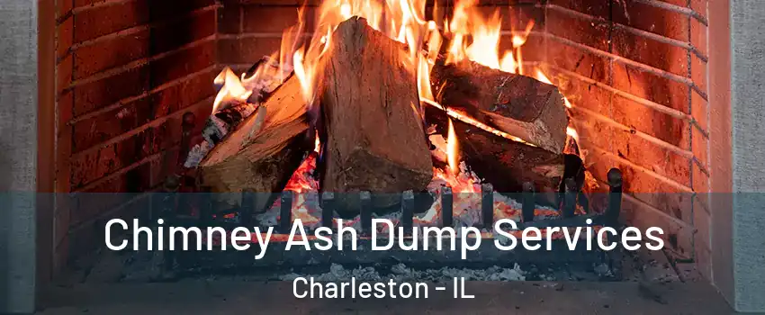  Chimney Ash Dump Services Charleston - IL