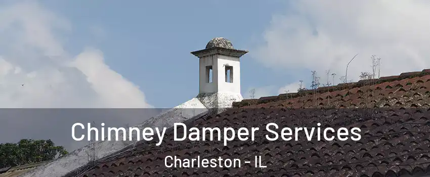  Chimney Damper Services Charleston - IL