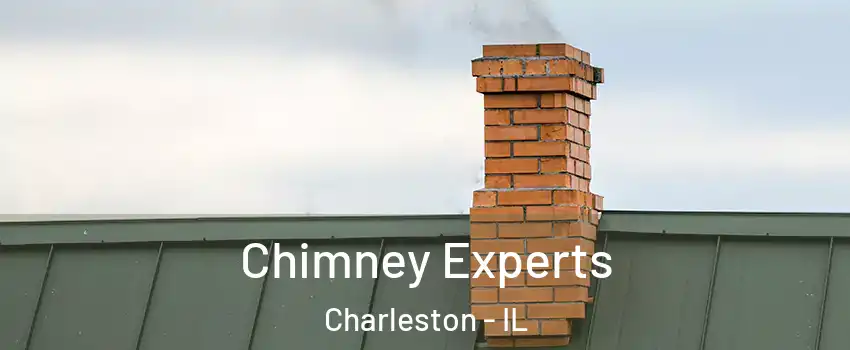  Chimney Experts Charleston - IL