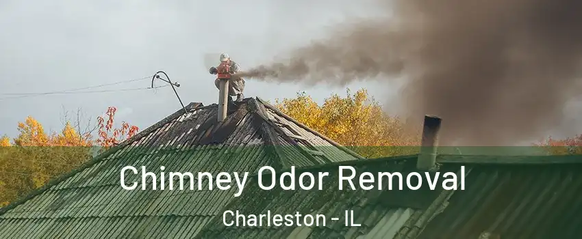  Chimney Odor Removal Charleston - IL