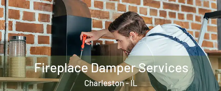  Fireplace Damper Services Charleston - IL