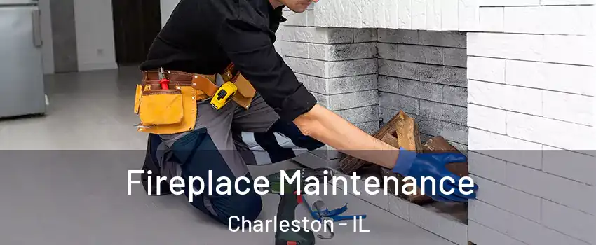  Fireplace Maintenance Charleston - IL