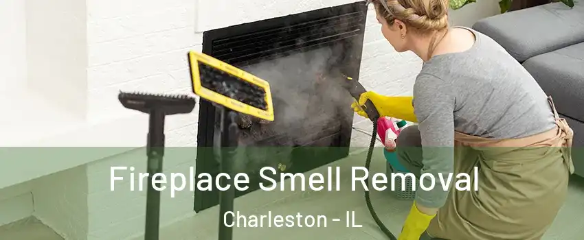  Fireplace Smell Removal Charleston - IL