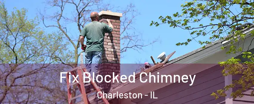  Fix Blocked Chimney Charleston - IL