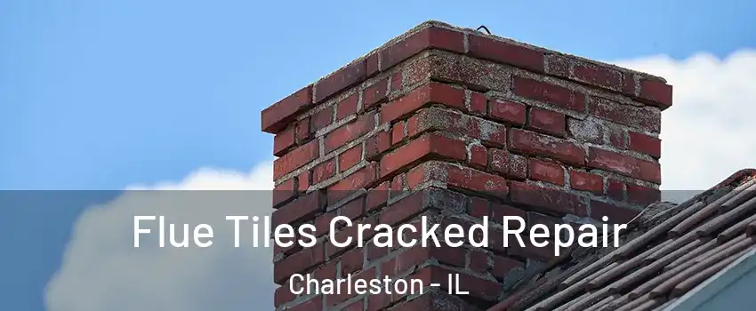  Flue Tiles Cracked Repair Charleston - IL