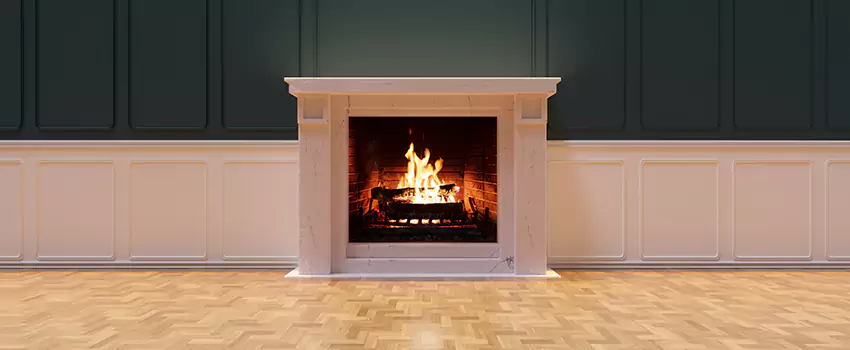 Napoleon Electric Fireplaces Inspection Service in Charleston, Illinois