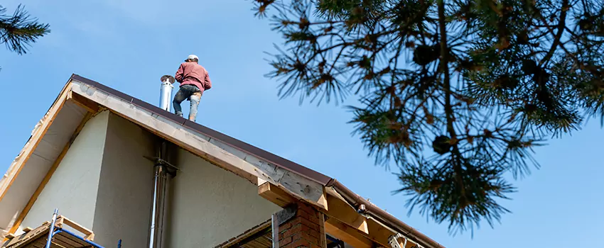 Birds Removal Contractors from Chimney in Charleston, IL