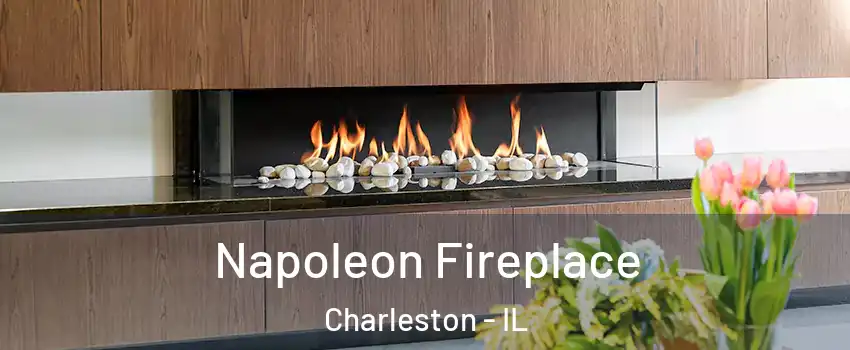  Napoleon Fireplace Charleston - IL