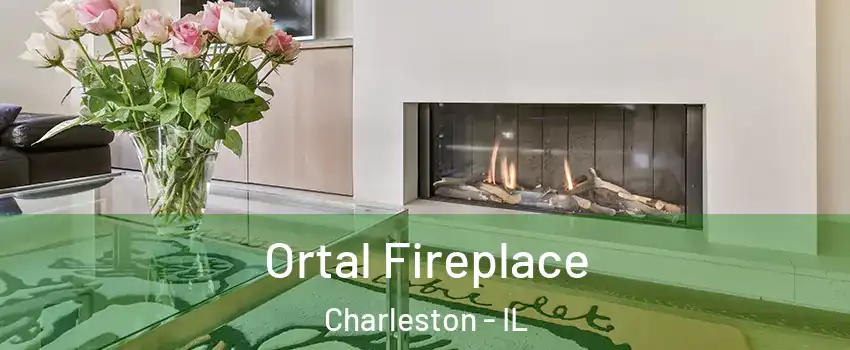  Ortal Fireplace Charleston - IL